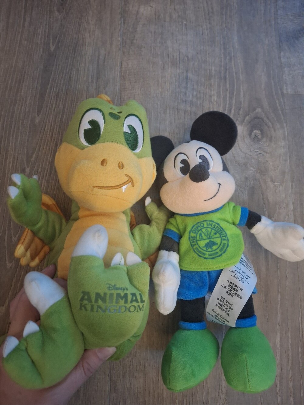 Disney Animal Kingdom Dinoland Dragon Plush & Mickey Mouse Retired Set